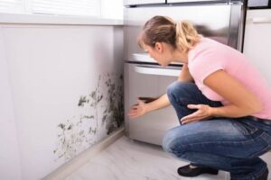 How to Prevent Mold in Humid Climates: A Homeowner's Guide